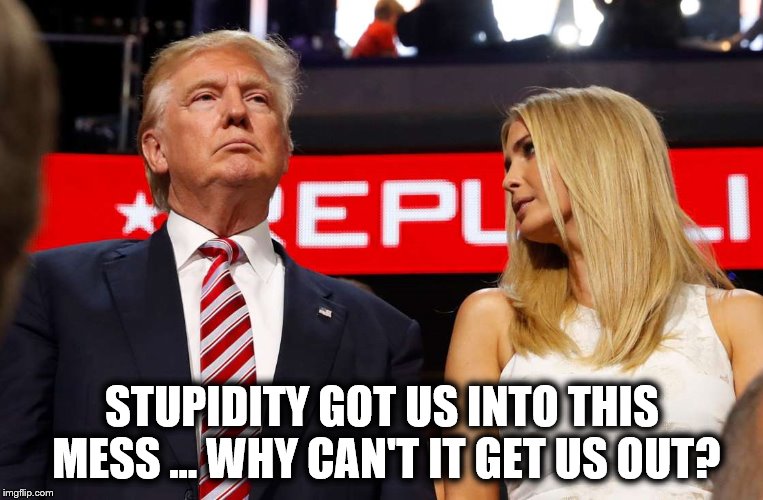 STUPIDITY GOT US INTO THIS MESS ... WHY CAN'T IT GET US OUT? | image tagged in political meme,trump,usa,republican | made w/ Imgflip meme maker