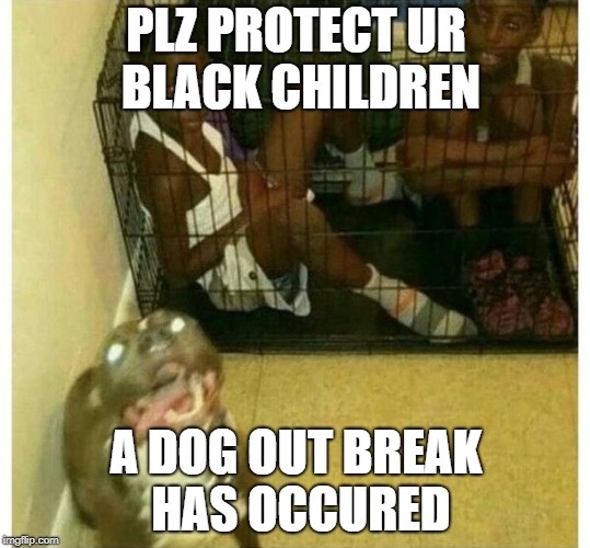 PLZ PROTECT UR BLACK CHILDREN; A DOG OUT BREAK HAS OCCURED | image tagged in haha | made w/ Imgflip meme maker