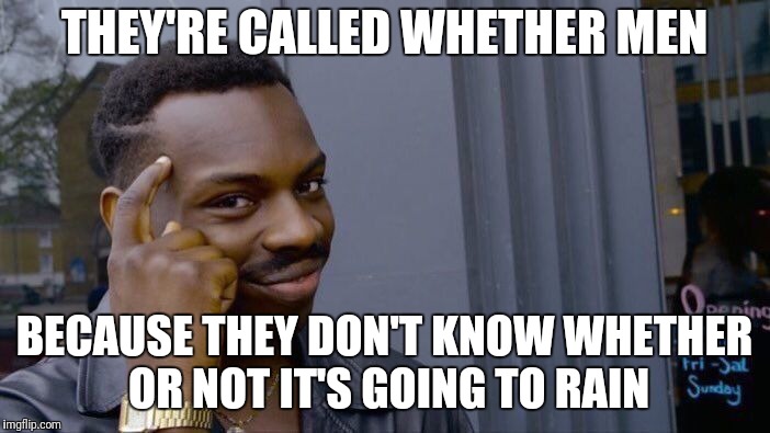 Roll Safe Think About It Meme | THEY'RE CALLED WHETHER MEN; BECAUSE THEY DON'T KNOW WHETHER OR NOT IT'S GOING TO RAIN | image tagged in memes,roll safe think about it | made w/ Imgflip meme maker
