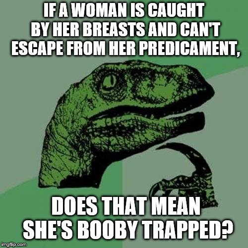 Philosoraptor Meme | IF A WOMAN IS CAUGHT BY HER BREASTS AND CAN'T ESCAPE FROM HER PREDICAMENT, DOES THAT MEAN SHE'S BOOBY TRAPPED? | image tagged in memes,philosoraptor | made w/ Imgflip meme maker