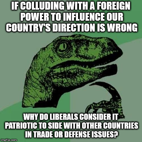 Philosoraptor Meme | IF COLLUDING WITH A FOREIGN POWER TO INFLUENCE OUR COUNTRY'S DIRECTION IS WRONG; WHY DO LIBERALS CONSIDER IT PATRIOTIC TO SIDE WITH OTHER COUNTRIES IN TRADE OR DEFENSE ISSUES? | image tagged in memes,philosoraptor | made w/ Imgflip meme maker
