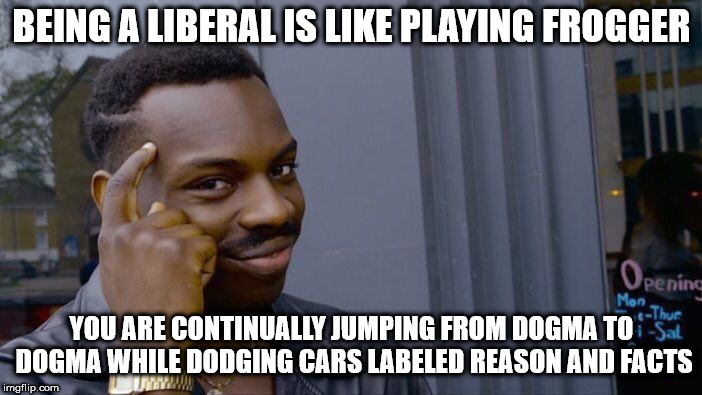 Roll Safe Think About It Meme | BEING A LIBERAL IS LIKE PLAYING FROGGER; YOU ARE CONTINUALLY JUMPING FROM DOGMA TO DOGMA WHILE DODGING CARS LABELED REASON AND FACTS | image tagged in memes,roll safe think about it | made w/ Imgflip meme maker