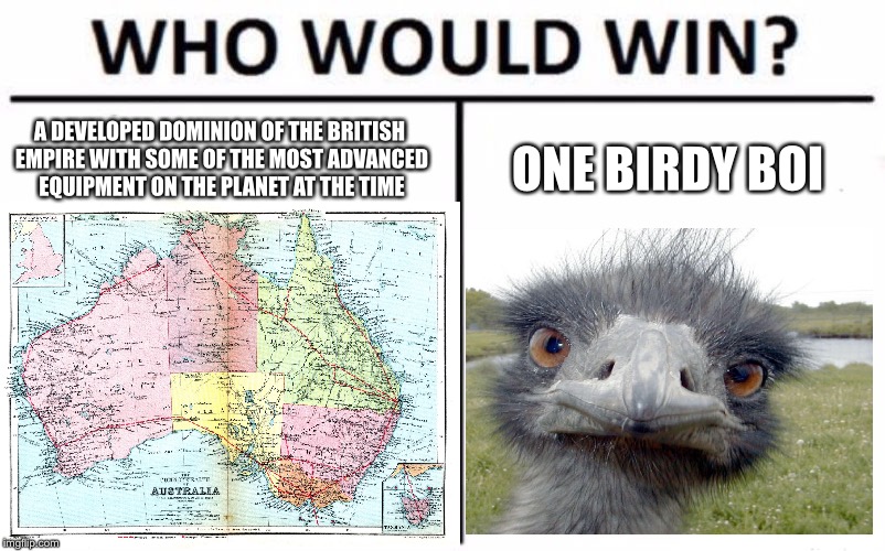 Lots of Emus on the barbie | A DEVELOPED DOMINION OF THE BRITISH EMPIRE WITH SOME OF THE MOST ADVANCED EQUIPMENT ON THE PLANET AT THE TIME; ONE BIRDY BOI | image tagged in memes,australia,emu,failure | made w/ Imgflip meme maker