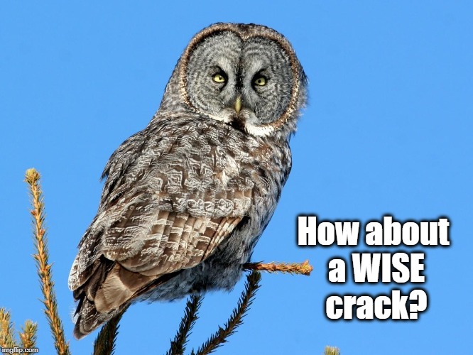 How about a WISE crack? | made w/ Imgflip meme maker