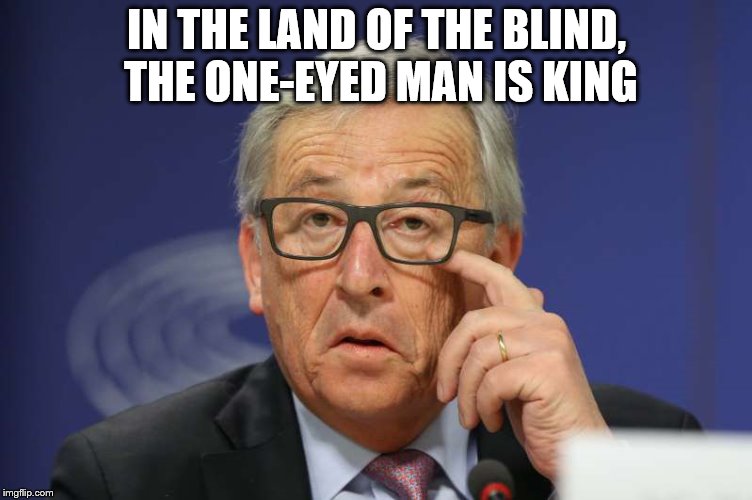 IN THE LAND OF THE BLIND, THE ONE-EYED MAN IS KING | image tagged in eu | made w/ Imgflip meme maker