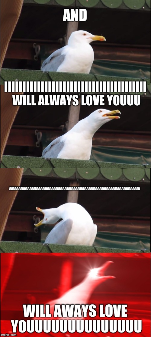 Inhaling Seagull Meme | AND; IIIIIIIIIIIIIIIIIIIIIIIIIIIIIIIIIIIIIII WILL ALWAYS LOVE YOUUU; AAAAAAAAAAAAAAAAAAAAAAAAAAAAAAAAAAAAAAAAAAAAAAAAAAAAAAAAAAAAAAAAAAAAAAA; WILL AWAYS LOVE YOUUUUUUUUUUUUUU | image tagged in memes,inhaling seagull | made w/ Imgflip meme maker
