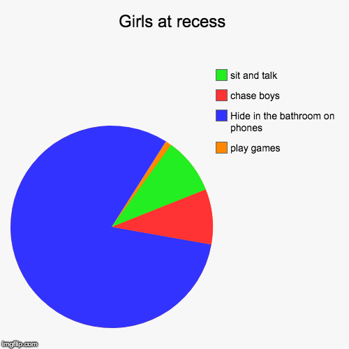 Girls at recess | play games, Hide in the bathroom on phones, chase boys, sit and talk | image tagged in funny,pie charts | made w/ Imgflip chart maker