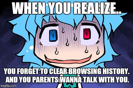 WHEN YOU REALIZE.. YOU FORGET TO CLEAR BROWSING HISTORY. AND YOU PARENTS WANNA TALK WITH YOU. | image tagged in touhou | made w/ Imgflip meme maker