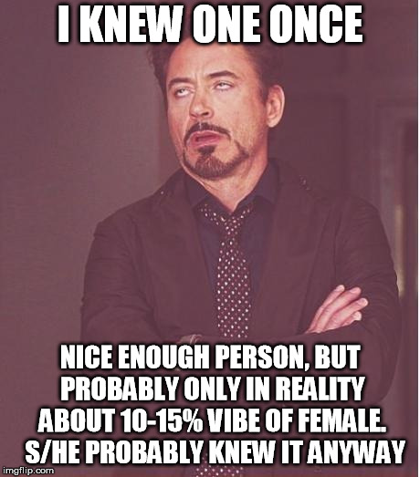 Face You Make Robert Downey Jr Meme | I KNEW ONE ONCE NICE ENOUGH PERSON, BUT PROBABLY ONLY IN REALITY ABOUT 10-15% VIBE OF FEMALE.  S/HE PROBABLY KNEW IT ANYWAY | image tagged in memes,face you make robert downey jr | made w/ Imgflip meme maker