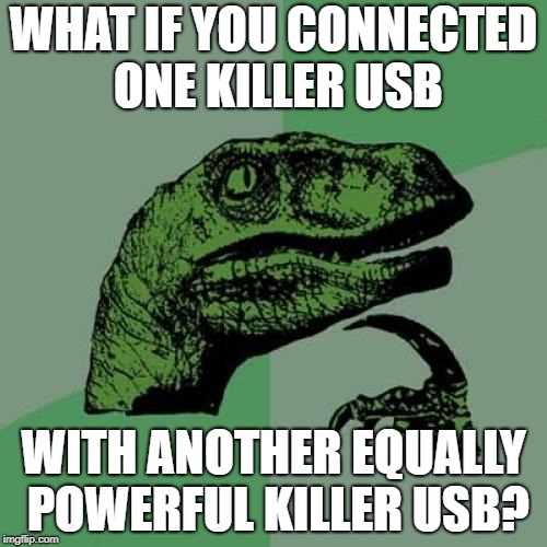 Philosoraptor | WHAT IF YOU CONNECTED ONE KILLER USB; WITH ANOTHER EQUALLY POWERFUL KILLER USB? | image tagged in memes,philosoraptor | made w/ Imgflip meme maker