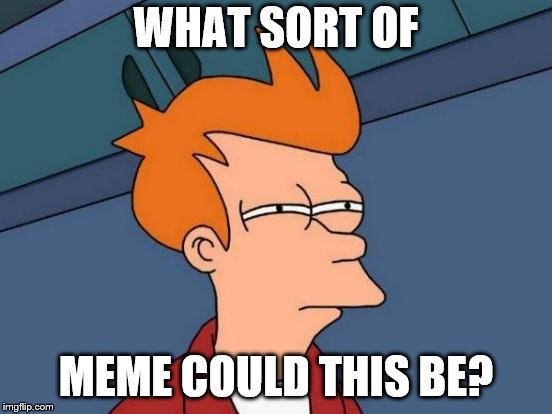 Futurama Fry Meme | WHAT SORT OF MEME COULD THIS BE? | image tagged in memes,futurama fry | made w/ Imgflip meme maker