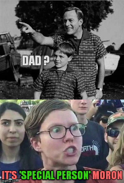 Special Person and Son | DAD ? IT'S 'SPECIAL PERSON' MORON 'SPECIAL PERSON' | image tagged in memes,father and son,gender confusion,special person,meme | made w/ Imgflip meme maker