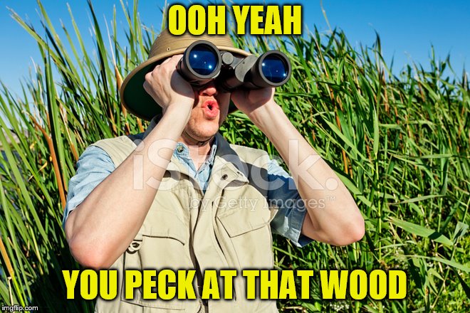 OOH YEAH YOU PECK AT THAT WOOD | made w/ Imgflip meme maker
