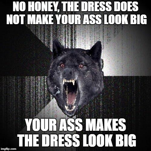 Aaaaand I'm single! | NO HONEY, THE DRESS DOES NOT MAKE YOUR ASS LOOK BIG; YOUR ASS MAKES THE DRESS LOOK BIG | image tagged in memes,insanity wolf | made w/ Imgflip meme maker