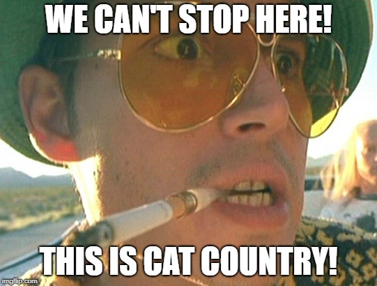 WE CAN'T STOP HERE! THIS IS CAT COUNTRY! | made w/ Imgflip meme maker