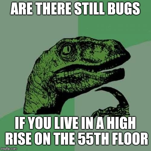 Bugs up high | ARE THERE STILL BUGS; IF YOU LIVE IN A HIGH RISE ON THE 55TH FLOOR | image tagged in memes,philosoraptor | made w/ Imgflip meme maker