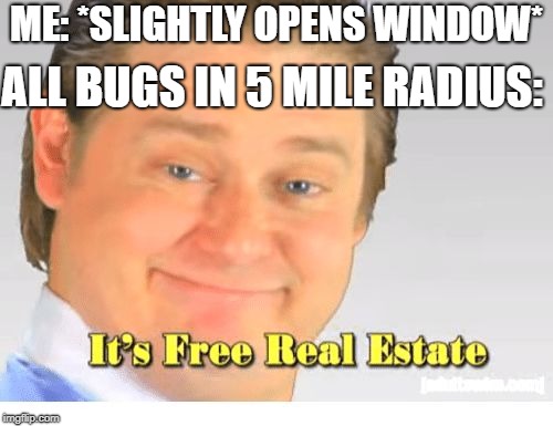 It's Free Real Estate | ALL BUGS IN 5 MILE RADIUS:; ME: *SLIGHTLY OPENS WINDOW* | image tagged in it's free real estate | made w/ Imgflip meme maker