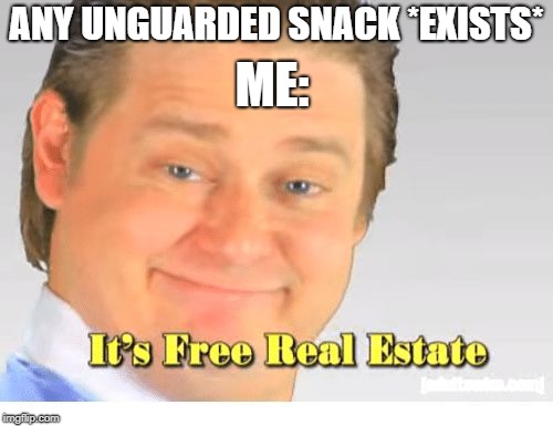 It's Free Real Estate | ME:; ANY UNGUARDED SNACK *EXISTS* | image tagged in it's free real estate | made w/ Imgflip meme maker