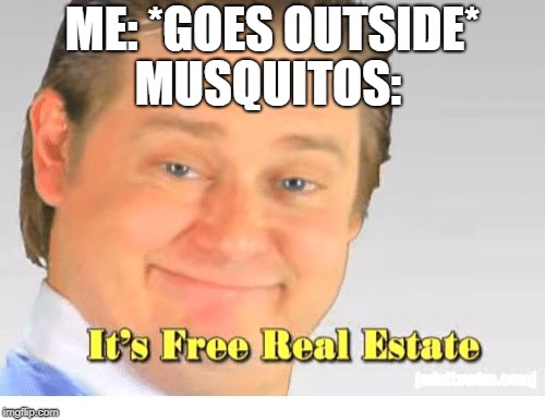 It's Free Real Estate | MUSQUITOS:; ME: *GOES OUTSIDE* | image tagged in it's free real estate | made w/ Imgflip meme maker