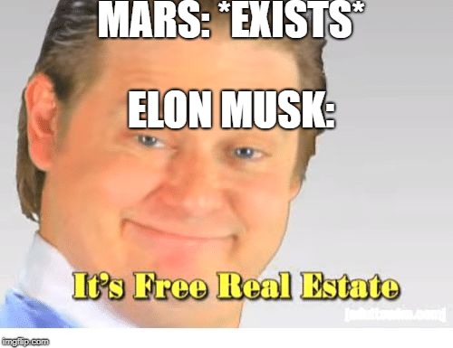 It's Free Real Estate | MARS: *EXISTS*; ELON MUSK: | image tagged in it's free real estate | made w/ Imgflip meme maker