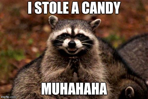 Evil Plotting Raccoon | I STOLE A CANDY; MUHAHAHA | image tagged in memes,evil plotting raccoon | made w/ Imgflip meme maker