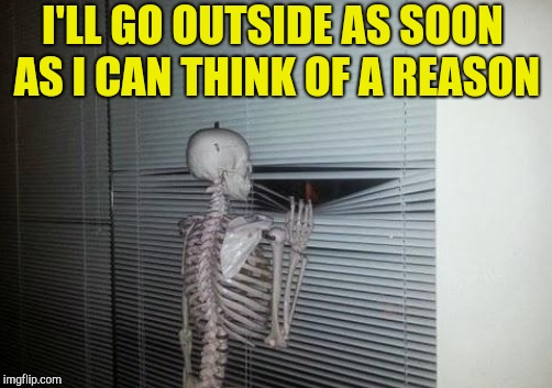 Shy skeleton | I'LL GO OUTSIDE AS SOON AS I CAN THINK OF A REASON | image tagged in skeleton looking out window,waiting skeleton,skeleton | made w/ Imgflip meme maker