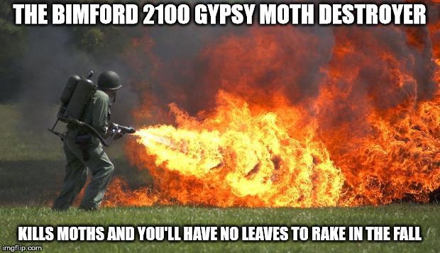 Flame thrower | THE BIMFORD 2100 GYPSY MOTH DESTROYER; KILLS MOTHS AND YOU'LL HAVE NO LEAVES TO RAKE IN THE FALL | image tagged in flame thrower | made w/ Imgflip meme maker