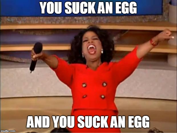 Oprah You Get A Meme | YOU SUCK AN EGG; AND YOU SUCK AN EGG | image tagged in memes,oprah you get a | made w/ Imgflip meme maker