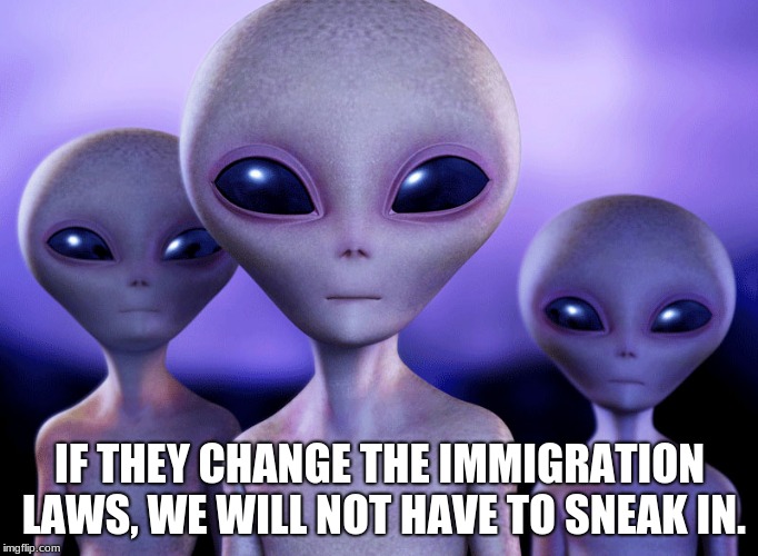 Grey Immigrants | IF THEY CHANGE THE IMMIGRATION LAWS, WE WILL NOT HAVE TO SNEAK IN. | image tagged in grey immigrants | made w/ Imgflip meme maker