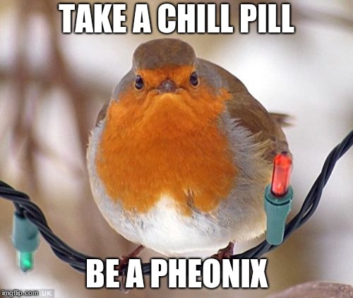 Bah Humbug | TAKE A CHILL PILL; BE A PHEONIX | image tagged in memes,bah humbug | made w/ Imgflip meme maker