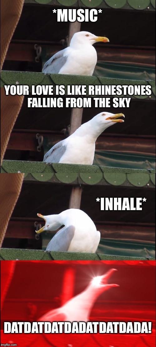 Inhaling Seagull Meme | *MUSIC*; YOUR LOVE IS LIKE RHINESTONES FALLING FROM THE SKY; *INHALE*; DATDATDATDADATDATDADA! | image tagged in memes,inhaling seagull | made w/ Imgflip meme maker