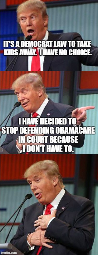 Bad Pun Trump | IT'S A DEMOCRAT LAW TO TAKE KIDS AWAY.  I HAVE NO CHOICE. I HAVE DECIDED TO STOP DEFENDING OBAMACARE IN COURT BECAUSE I DON'T HAVE TO. | image tagged in bad pun trump | made w/ Imgflip meme maker