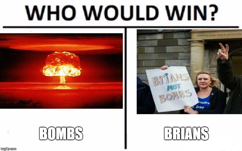 Who Would Win? Meme | BOMBS; BRIANS | image tagged in memes,who would win | made w/ Imgflip meme maker