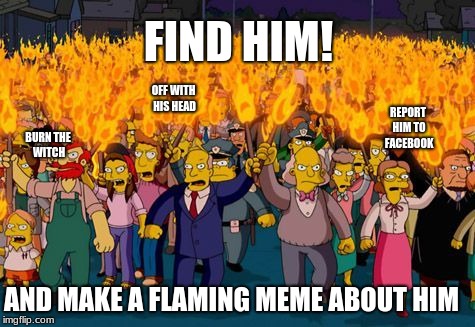 FIND HIM! OFF WITH HIS HEAD; REPORT HIM TO FACEBOOK; BURN THE WITCH; AND MAKE A FLAMING MEME ABOUT HIM | image tagged in burn | made w/ Imgflip meme maker