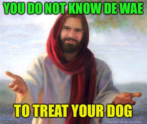 YOU DO NOT KNOW DE WAE TO TREAT YOUR DOG | made w/ Imgflip meme maker
