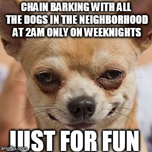 CHAIN BARKING WITH ALL THE DOGS IN THE NEIGHBORHOOD AT 2AM ONLY ON WEEKNIGHTS JUST FOR FUN | made w/ Imgflip meme maker