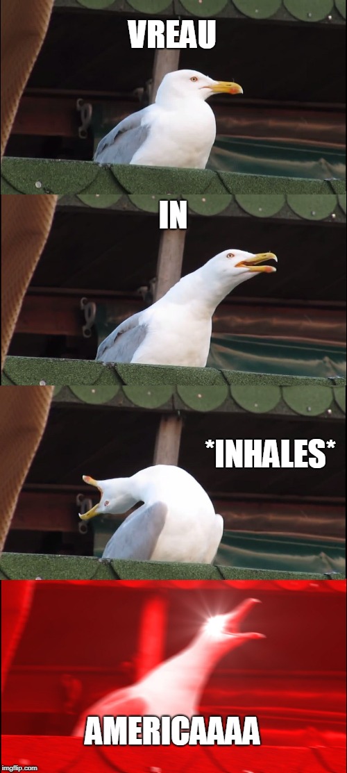 Inhaling Seagull | VREAU; IN; *INHALES*; AMERICAAAA | image tagged in memes,inhaling seagull | made w/ Imgflip meme maker