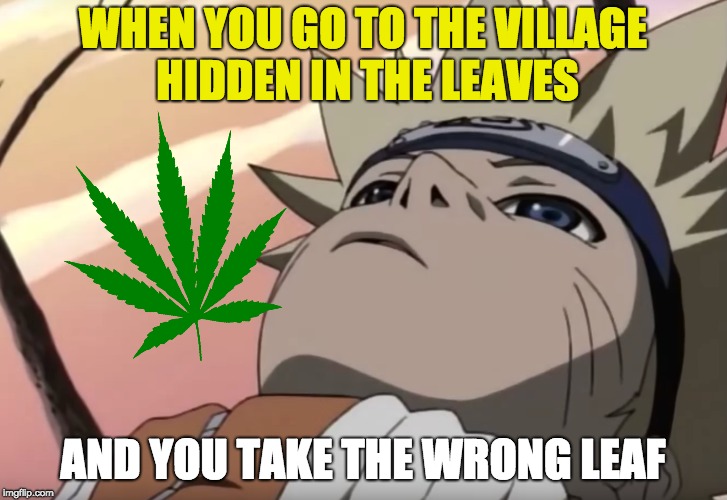 How Marijuana was Discovered. | WHEN YOU GO TO THE VILLAGE HIDDEN IN THE LEAVES; AND YOU TAKE THE WRONG LEAF | image tagged in marijuana,too damn high,wrong,naruto,don't do drugs,drugs are bad | made w/ Imgflip meme maker