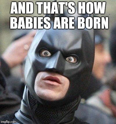Shocked Batman | AND THAT'S HOW BABIES ARE BORN | image tagged in shocked batman | made w/ Imgflip meme maker