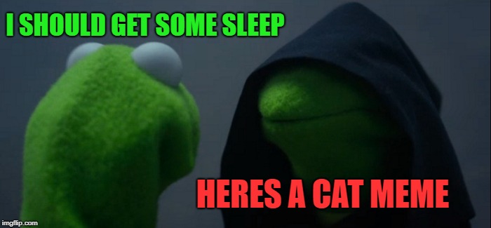 I need to sleep | I SHOULD GET SOME SLEEP; HERES A CAT MEME | image tagged in memes,evil kermit | made w/ Imgflip meme maker