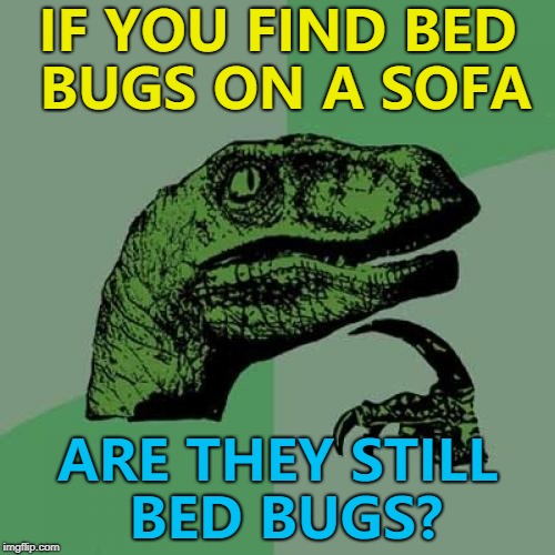 It's really bugging me... :) | IF YOU FIND BED BUGS ON A SOFA; ARE THEY STILL BED BUGS? | image tagged in memes,philosoraptor,bed bugs | made w/ Imgflip meme maker