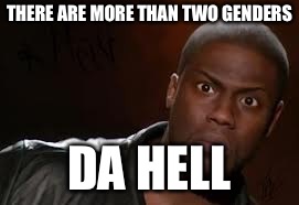 Kevin Hart Meme | THERE ARE MORE THAN TWO GENDERS; DA HELL | image tagged in memes,kevin hart the hell | made w/ Imgflip meme maker