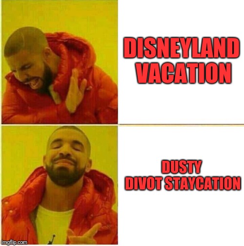 Drake Hotline approves | DISNEYLAND VACATION; DUSTY DIVOT STAYCATION | image tagged in drake hotline approves | made w/ Imgflip meme maker