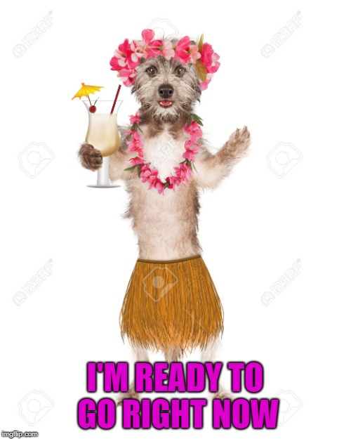 I'M READY TO GO RIGHT NOW | made w/ Imgflip meme maker