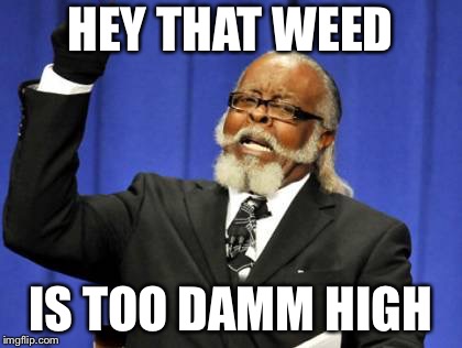 Too Damn High Meme | HEY THAT WEED; IS TOO DAMM HIGH | image tagged in memes,too damn high | made w/ Imgflip meme maker