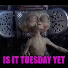IS IT TUESDAY YET | made w/ Imgflip meme maker