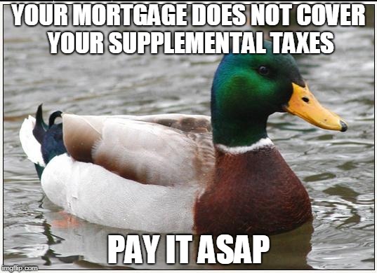 Actual Advice Mallard Meme | YOUR MORTGAGE DOES NOT COVER YOUR SUPPLEMENTAL TAXES; PAY IT ASAP | image tagged in memes,actual advice mallard,AdviceAnimals | made w/ Imgflip meme maker
