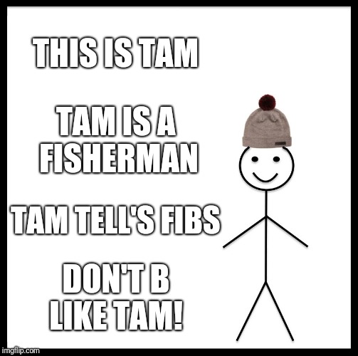 Be Like Bill Meme | THIS IS TAM; TAM IS A FISHERMAN; TAM TELL'S FIBS; DON'T B LIKE TAM! | image tagged in memes,be like bill | made w/ Imgflip meme maker