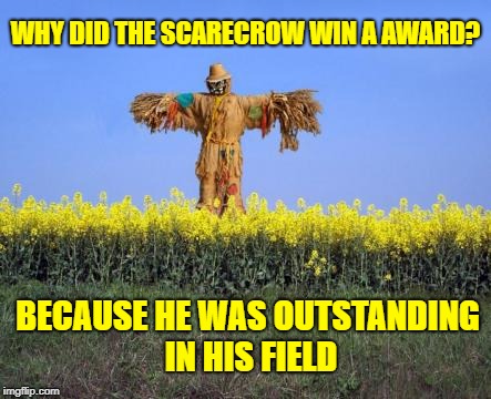 Award Winng |  WHY DID THE SCARECROW WIN A AWARD? BECAUSE HE WAS OUTSTANDING IN HIS FIELD | image tagged in scarecrow,awards,bad pun dangerfield,farm,farmers | made w/ Imgflip meme maker