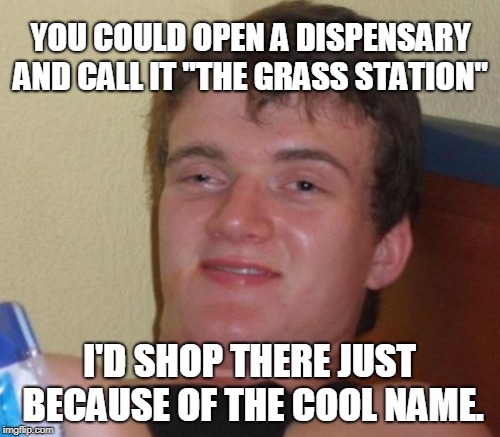 YOU COULD OPEN A DISPENSARY AND CALL IT "THE GRASS STATION" I'D SHOP THERE JUST BECAUSE OF THE COOL NAME. | made w/ Imgflip meme maker